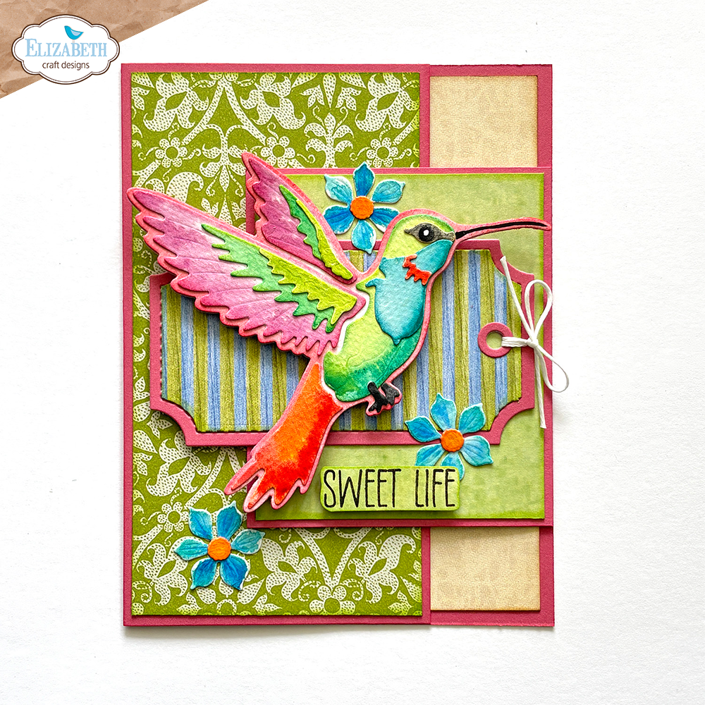 Layered Hummingbird
