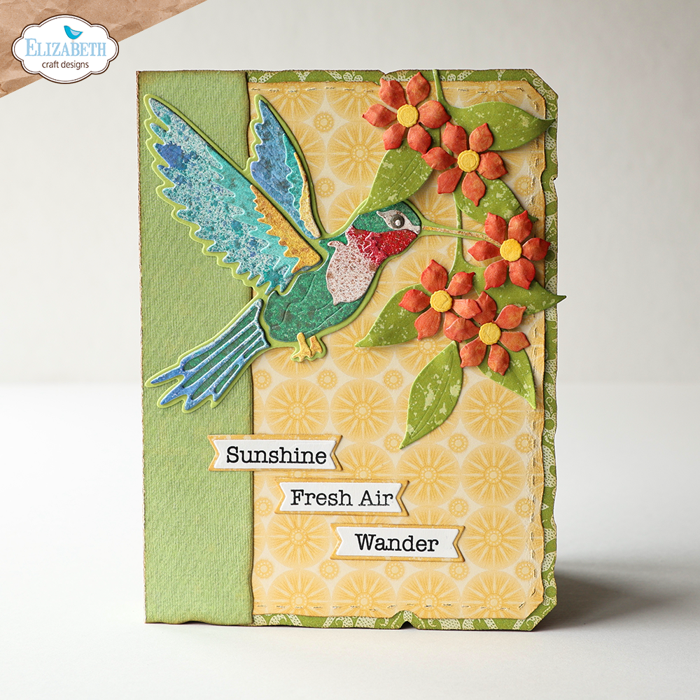 Layered Hummingbird
