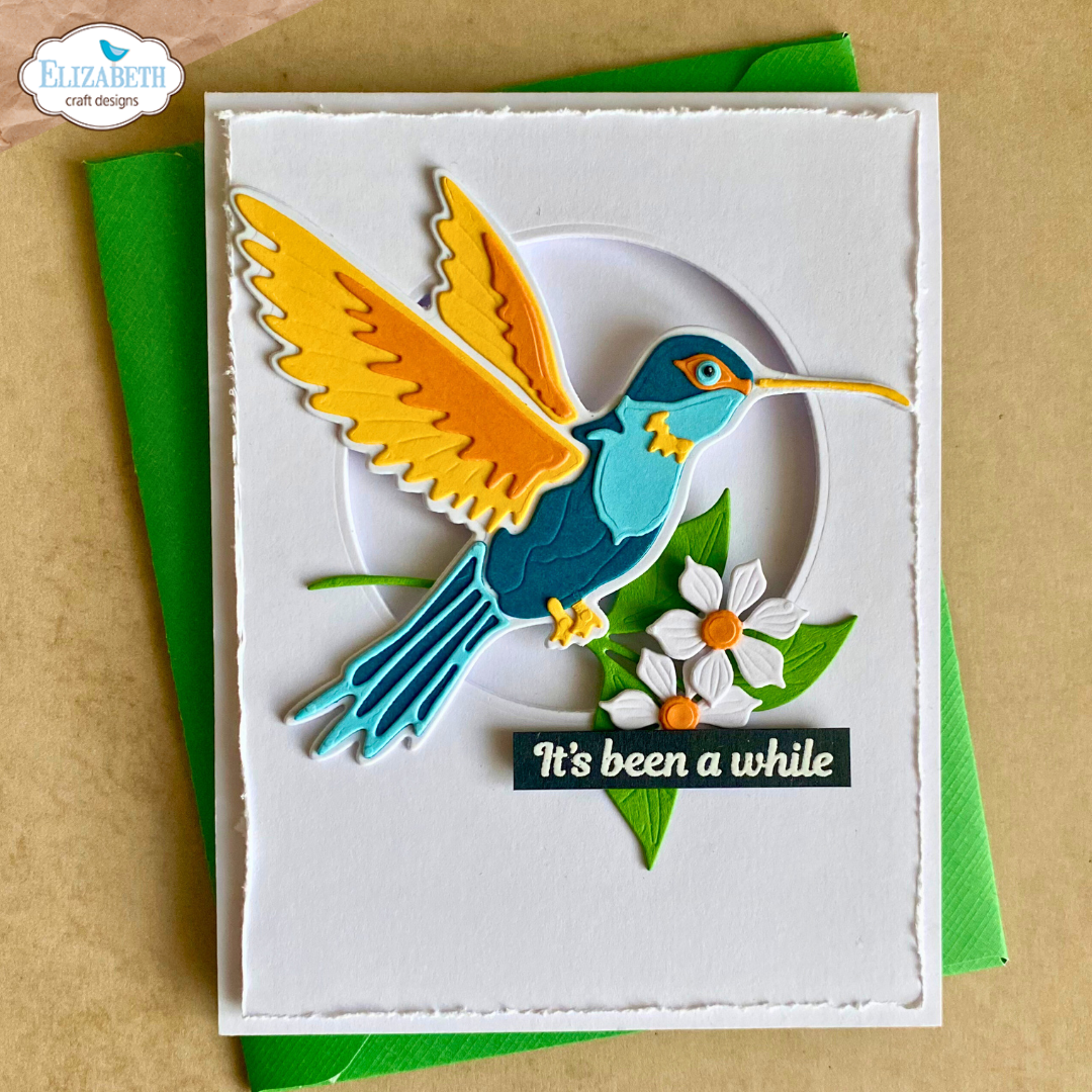 Layered Hummingbird