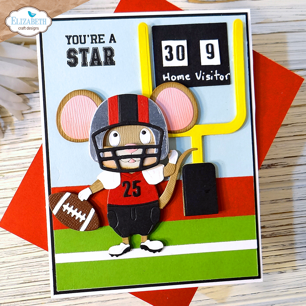 Football/ Baseball Accessories