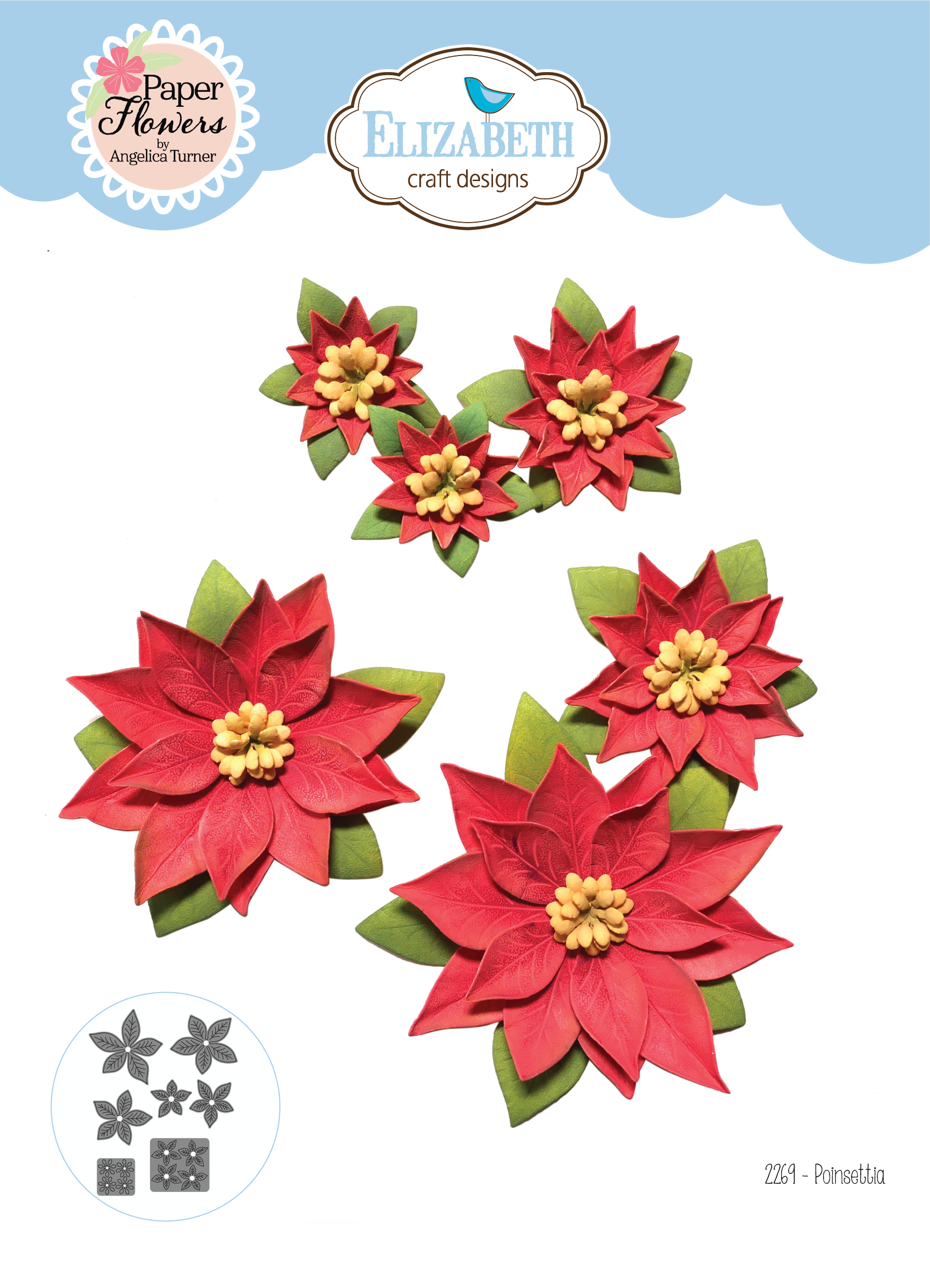 Poinsettia