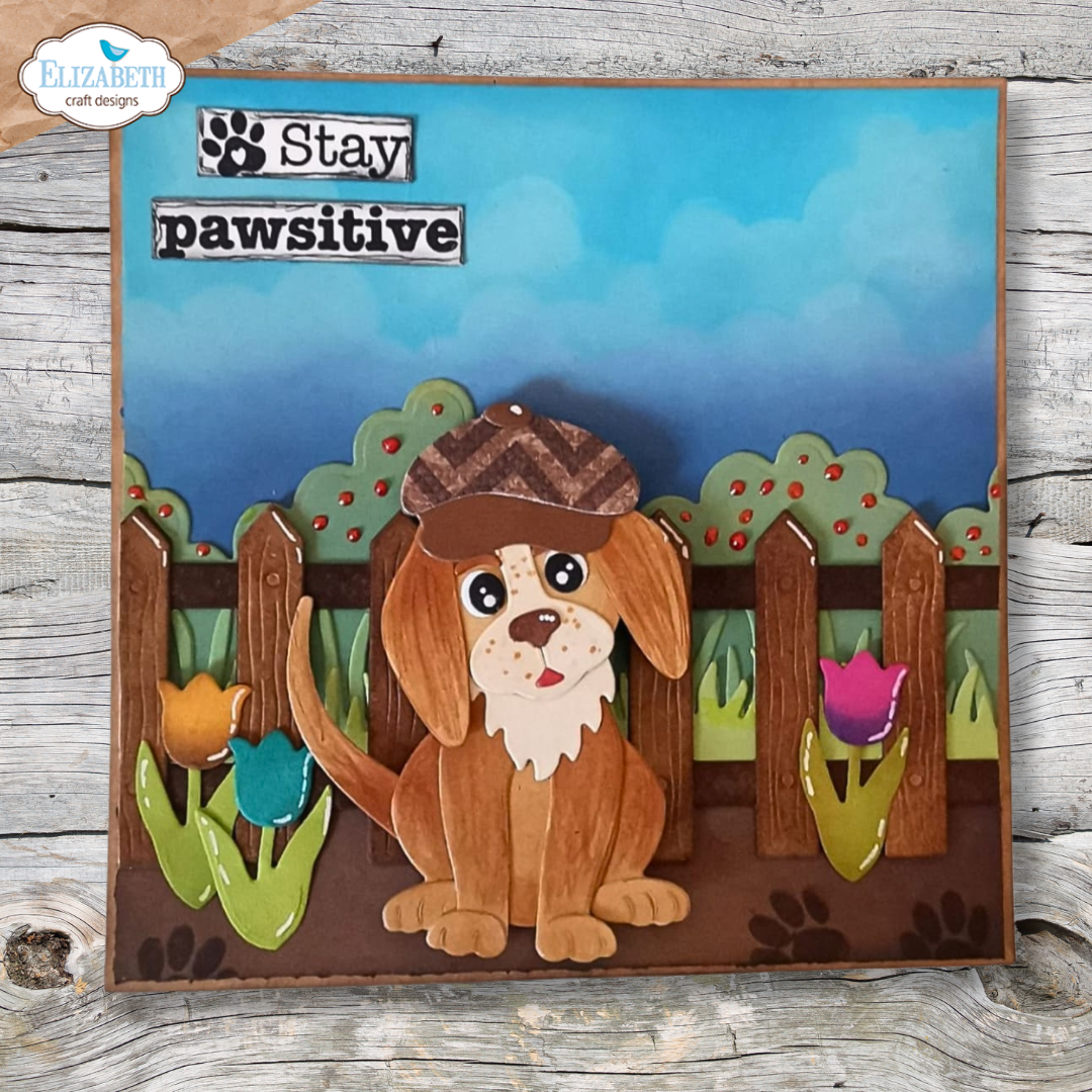 Garden edges and fence