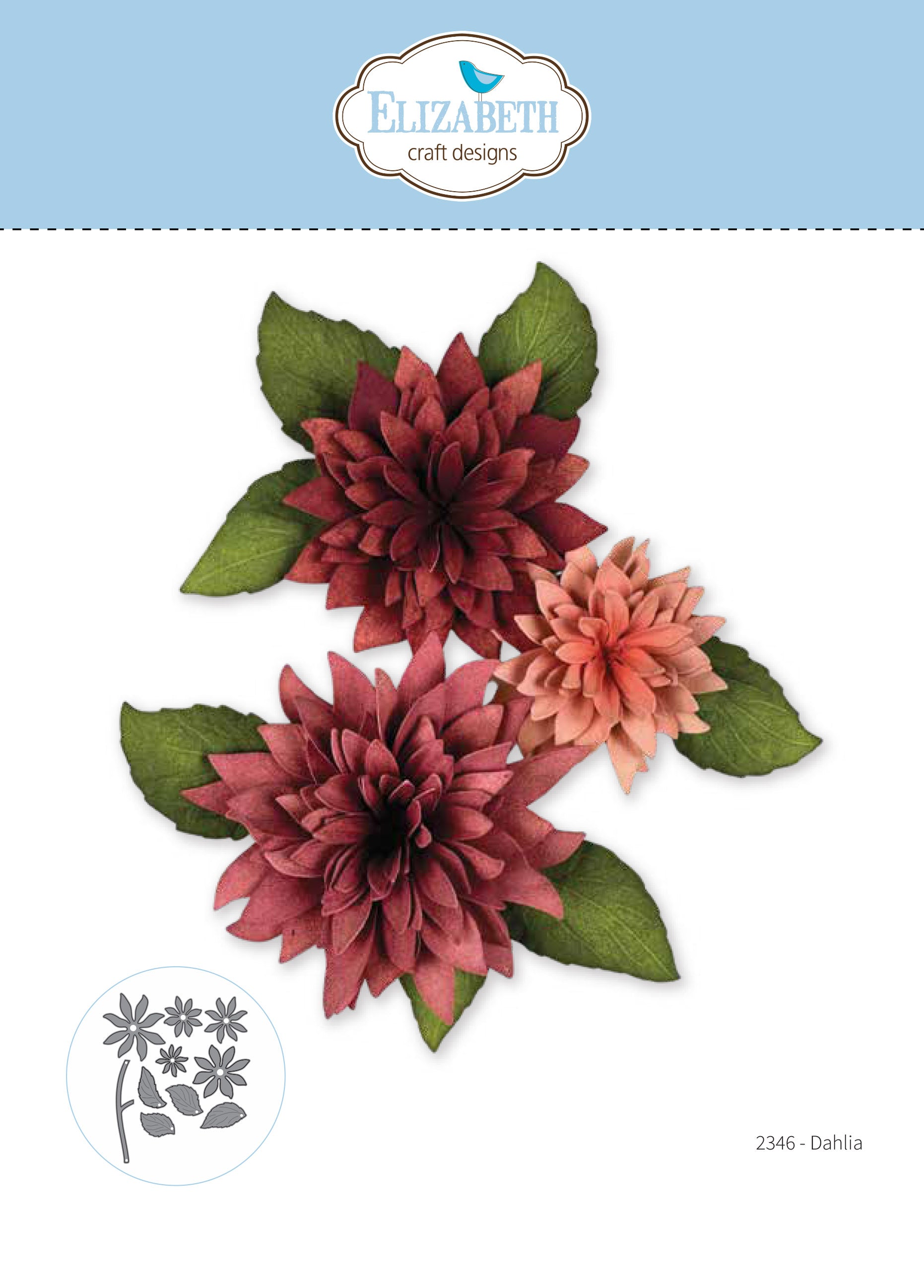 Dahlia