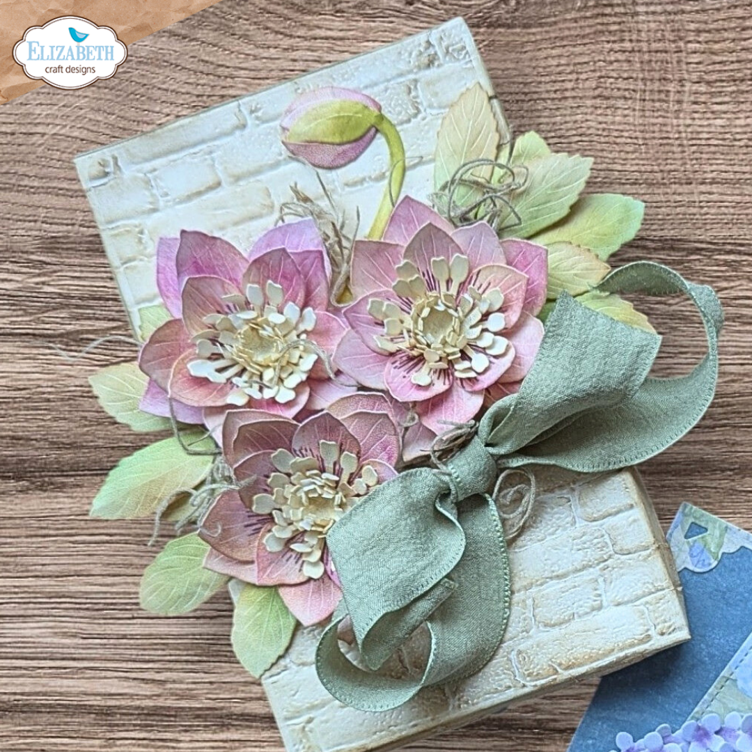 Lenten Rose