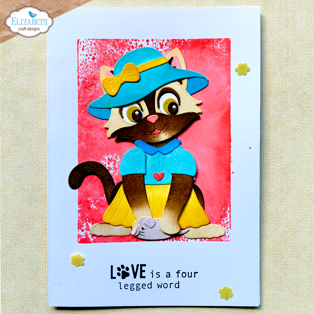 Cat Clothing Accessories