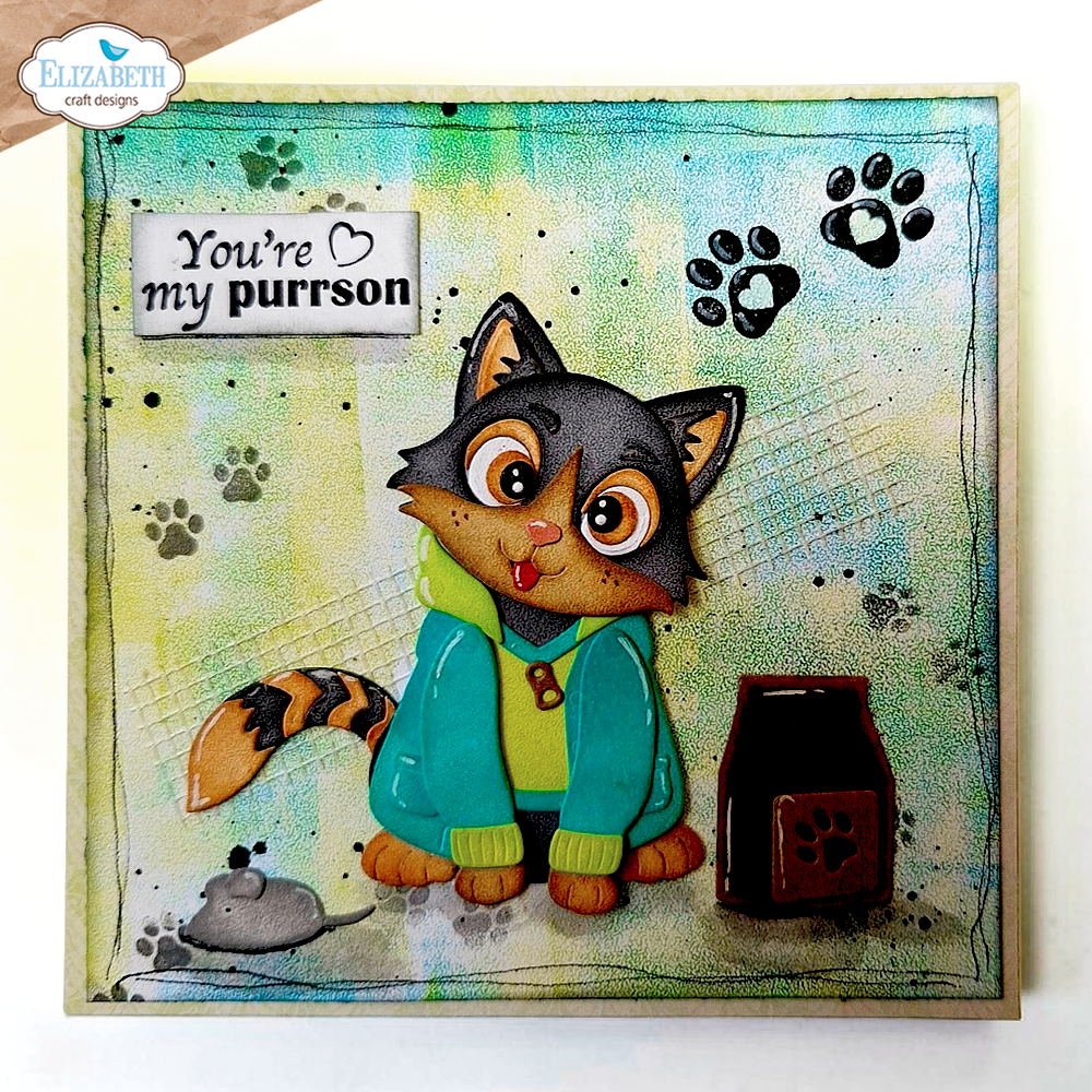 Cat Clothing Accessories