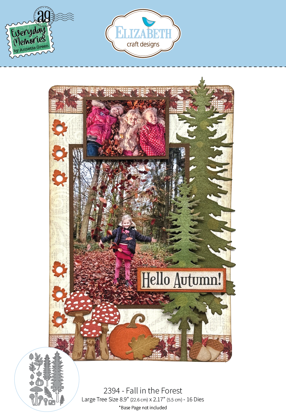 Fall in the Forest