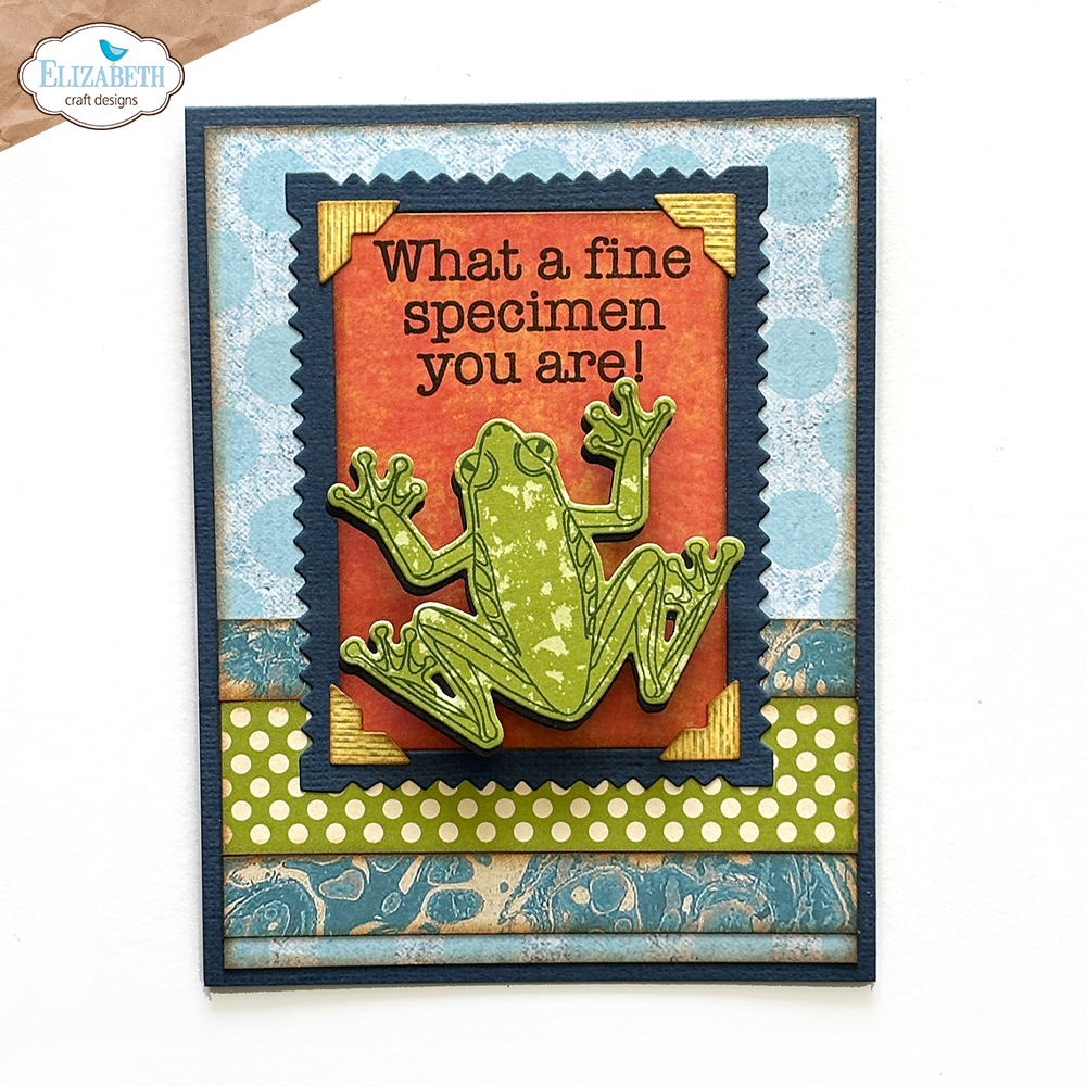 Beetles and Bugs Stamp and Die Set