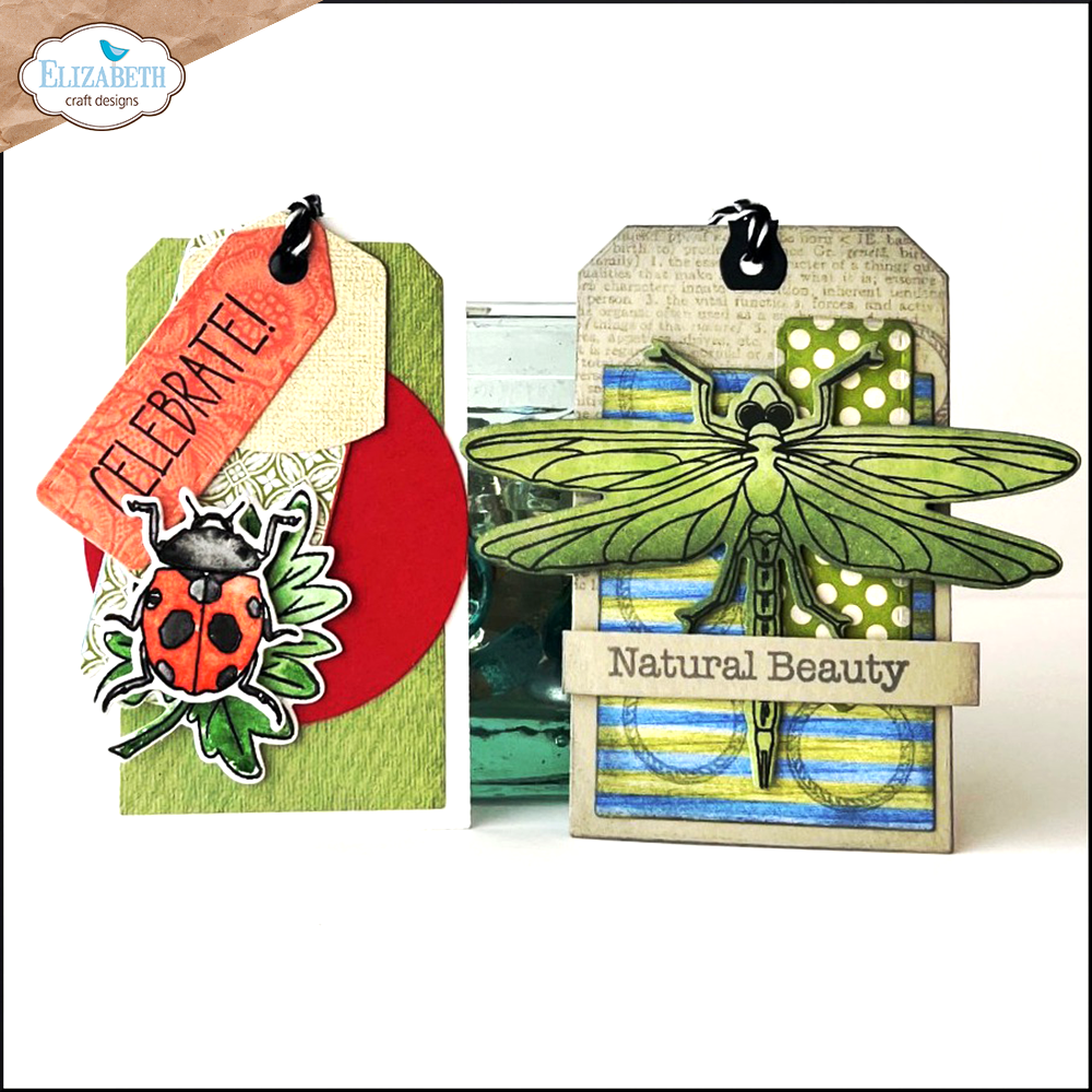 Beetles and Bugs Stamp and Die Set