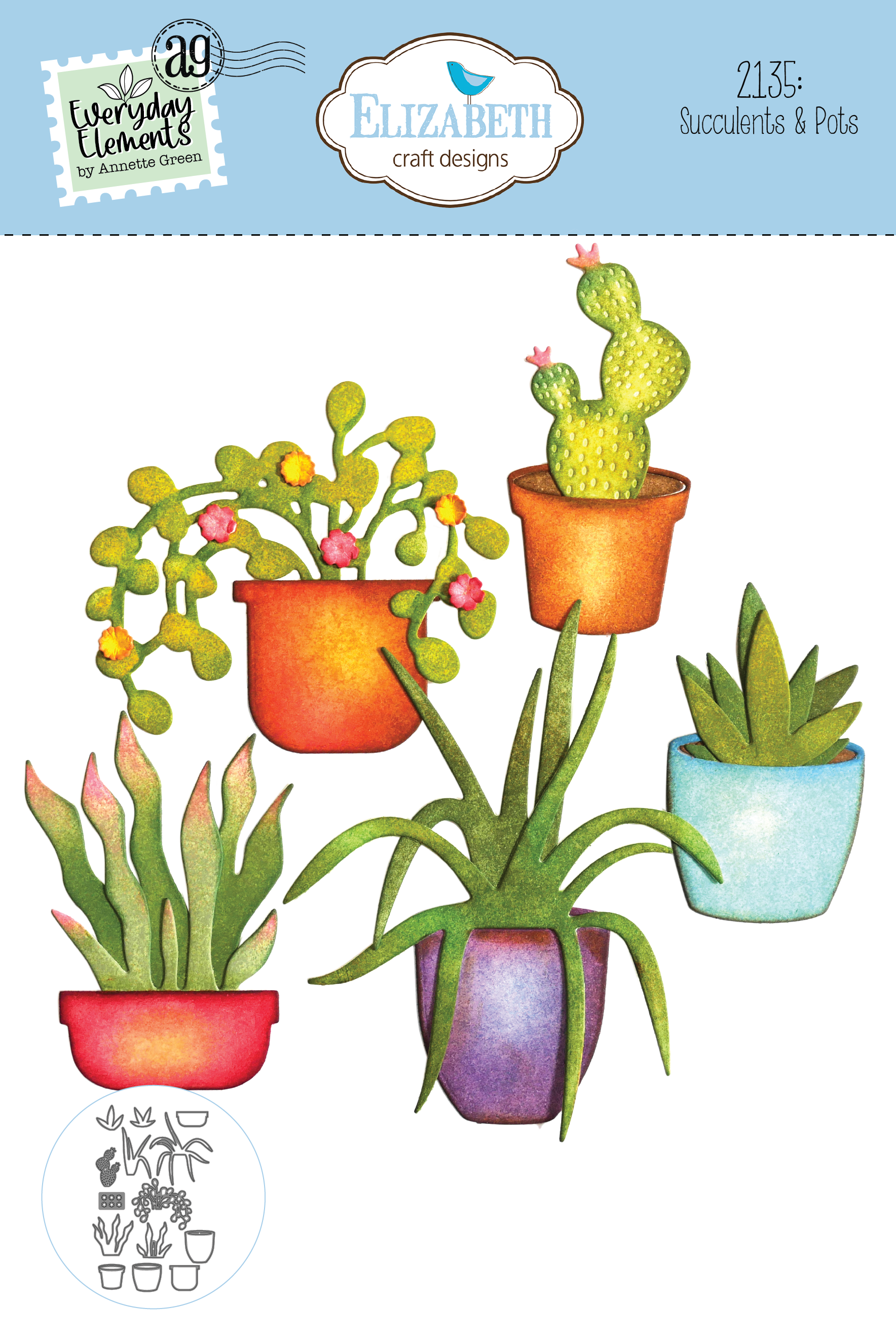 Succulents & Pots