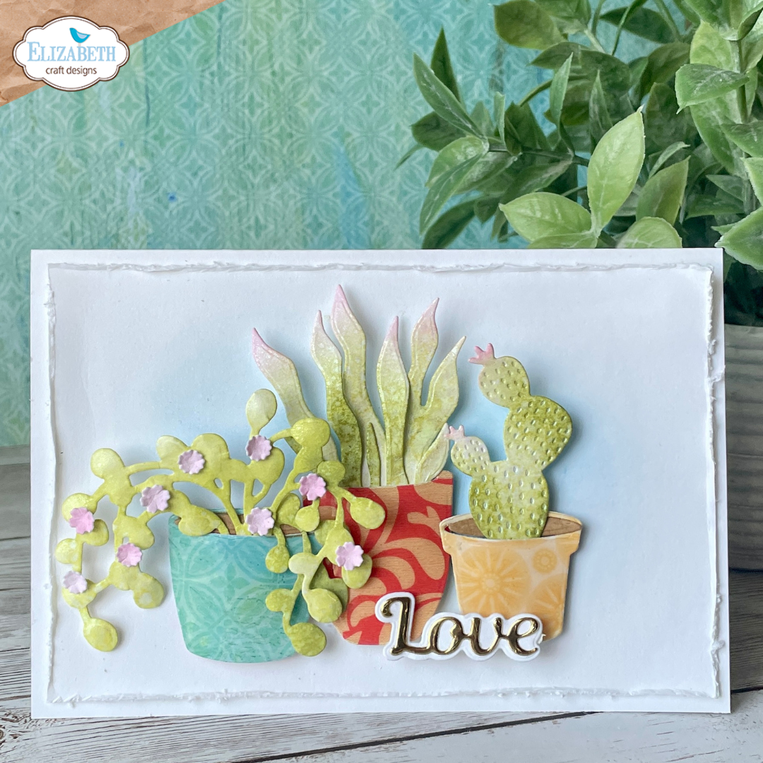 craft succulents Succulents & Pots