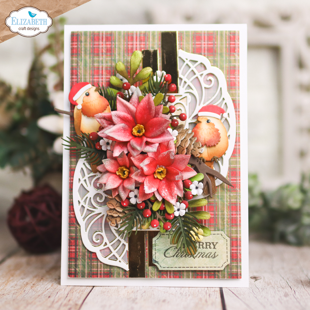 Poinsettia
