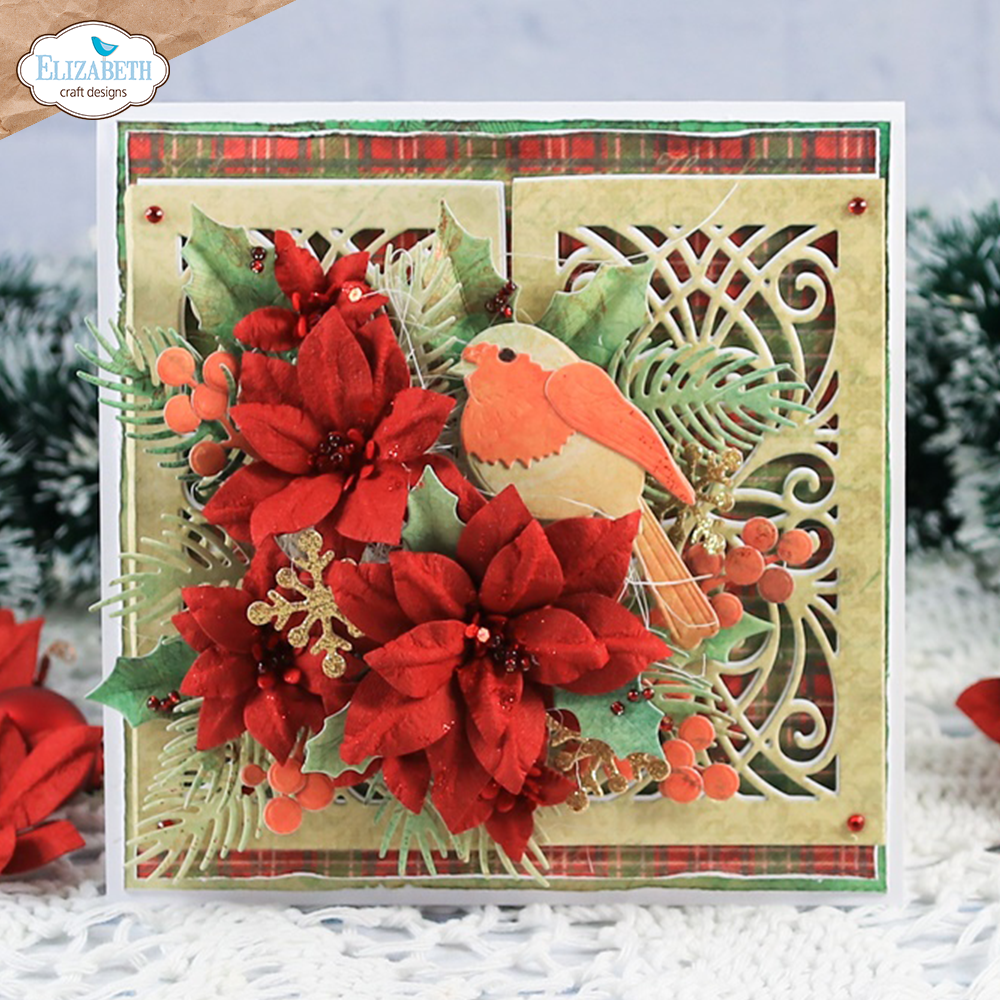 Poinsettia
