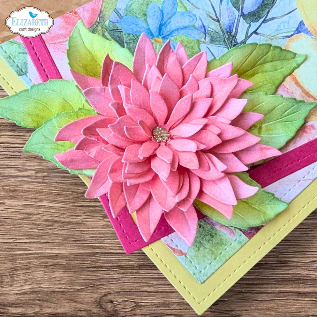 Dahlia