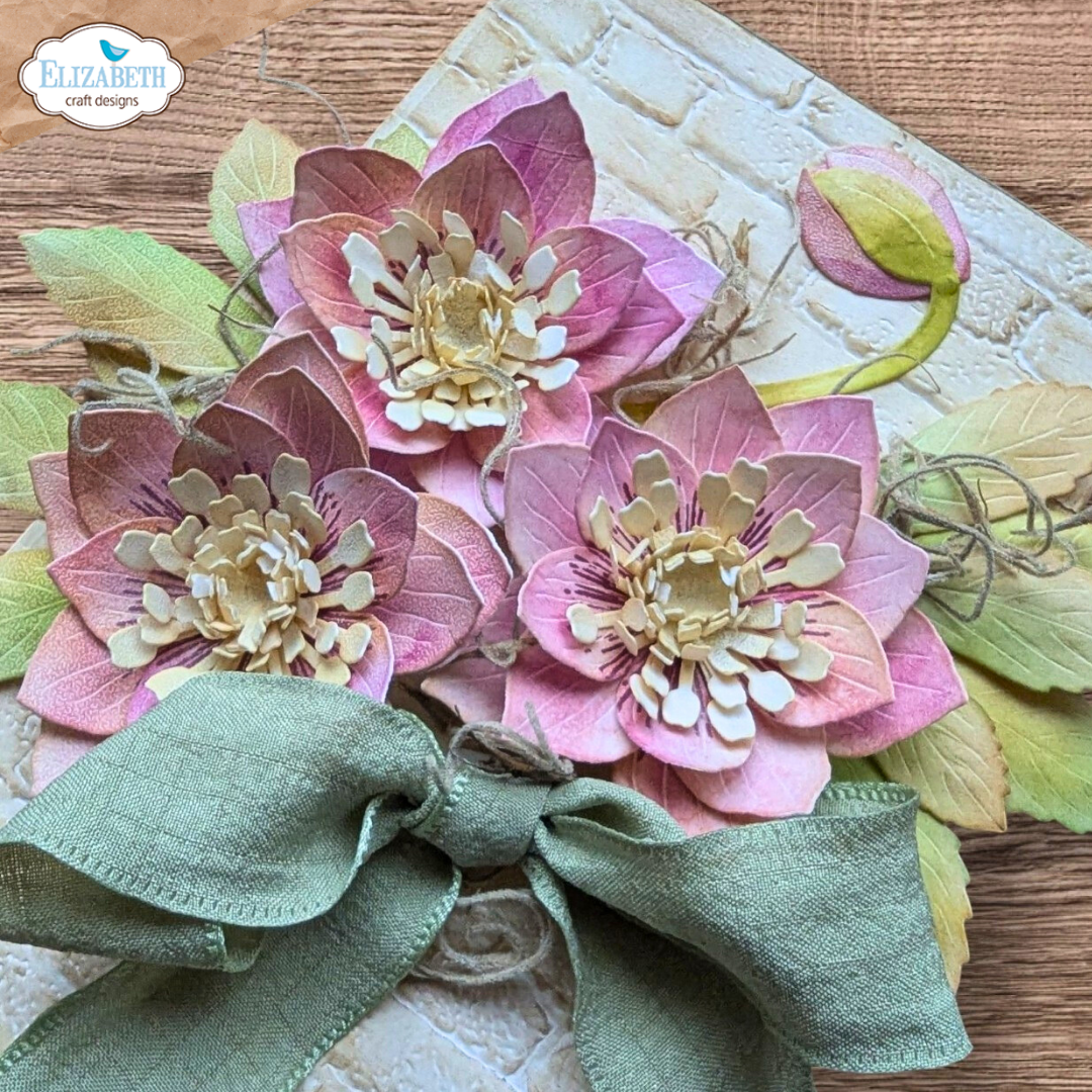 Lenten Rose