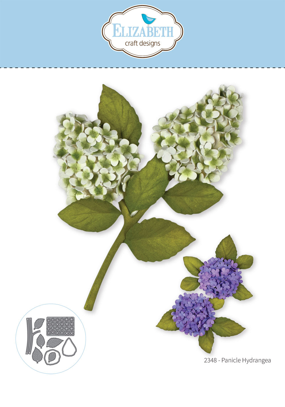 Panicle Hydrangea