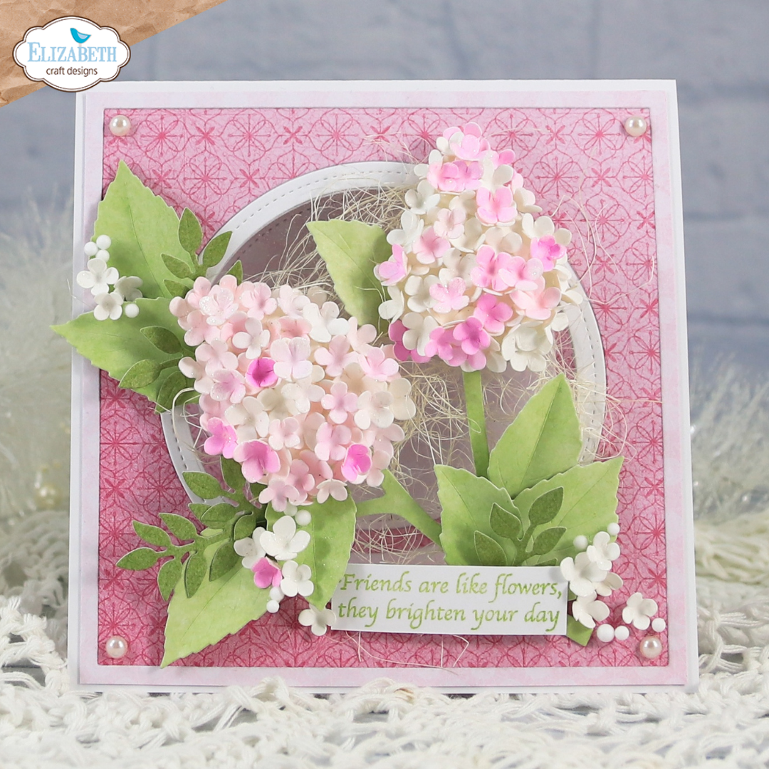 Panicle Hydrangea