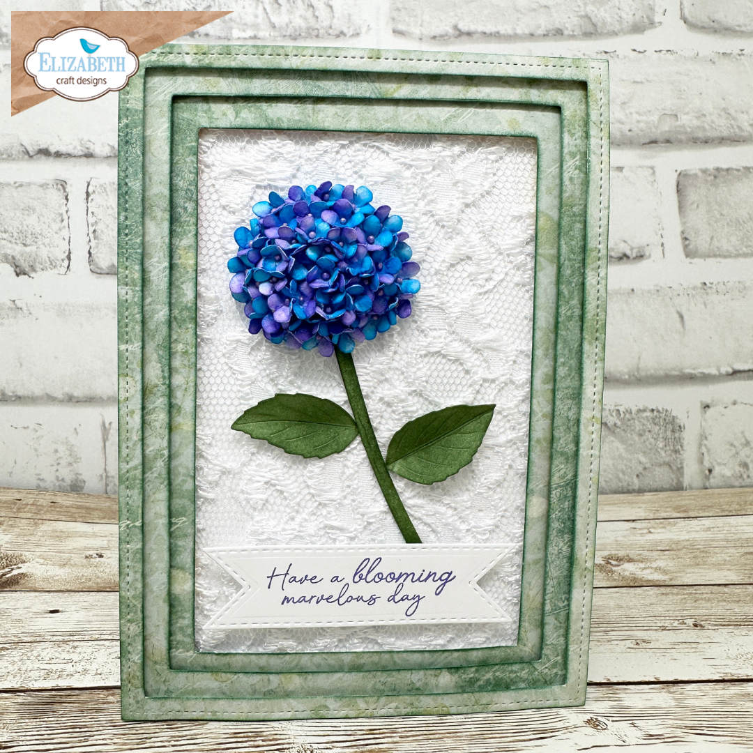 Panicle Hydrangea