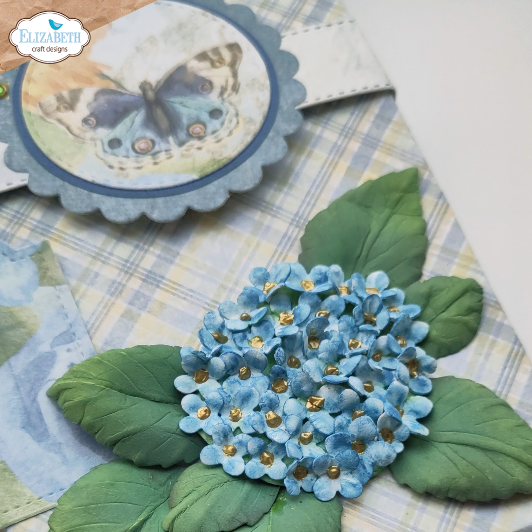 Panicle Hydrangea
