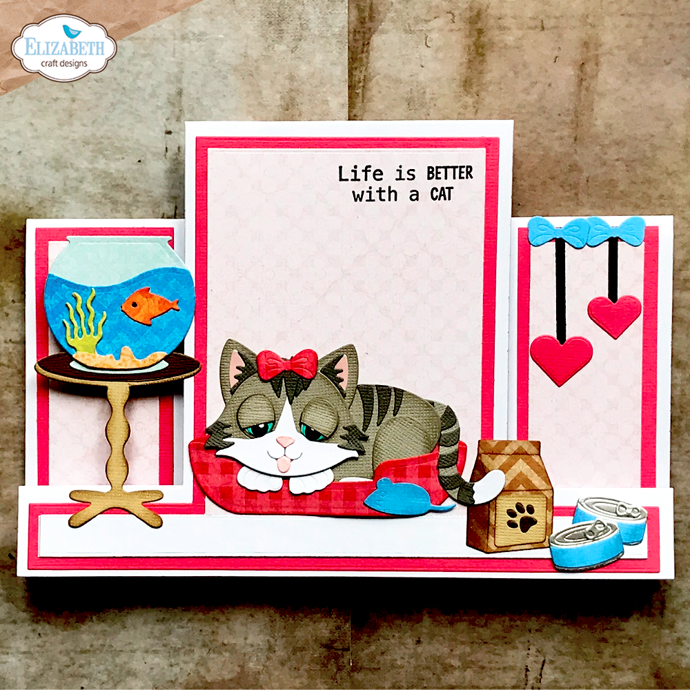 Cat Accessories