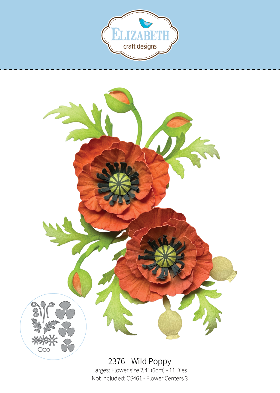 Wild Poppy