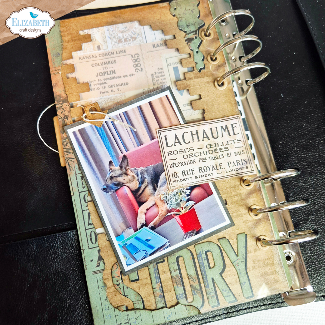 Getting Festive Stamp and Die Set