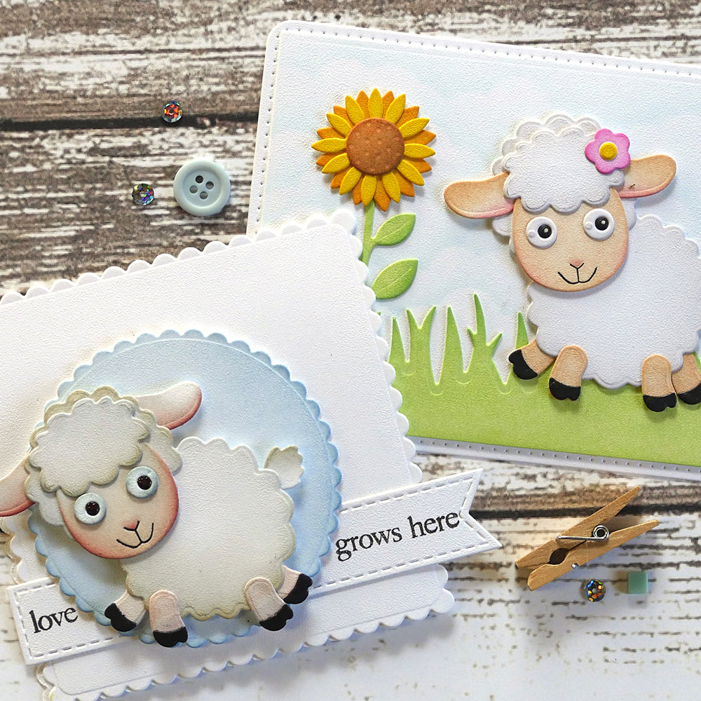 Sheep